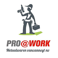 pro-at-work